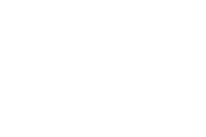 quem disse, berenice?